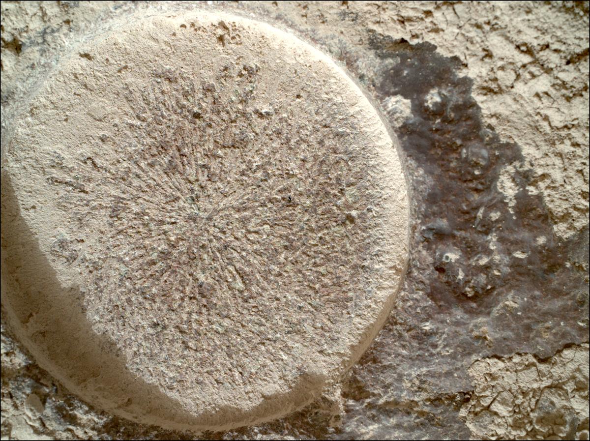 This image was taken by SHERLOC_WATSON onboard NASA's Mars rover Perseverance on Sol 1151