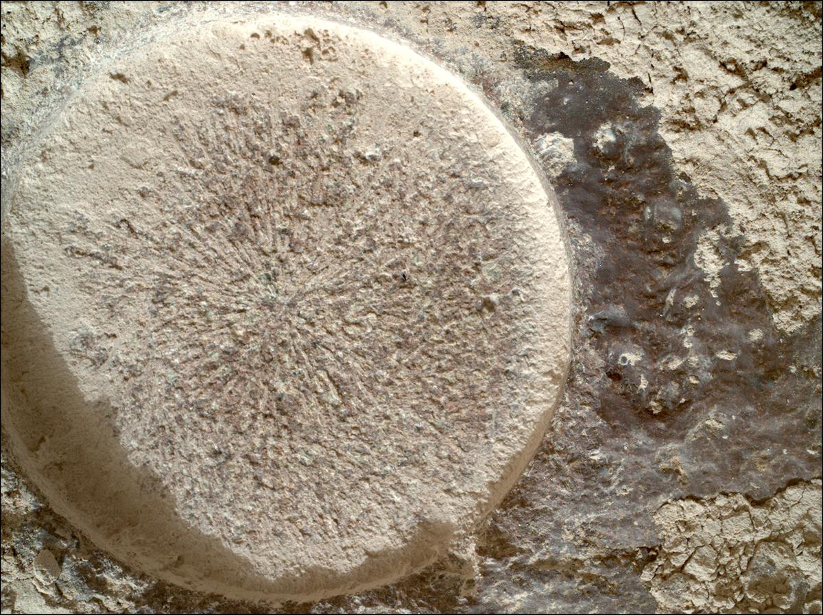 This image was taken by SHERLOC_WATSON onboard NASA's Mars rover Perseverance on Sol 1151