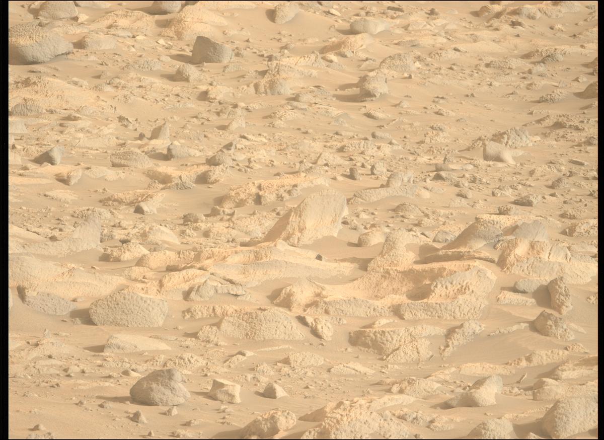 This image was taken by MCZ_LEFT onboard NASA's Mars rover Perseverance on Sol 1152