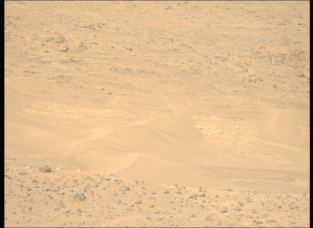 This image was taken by MCZ_LEFT onboard NASA's Mars rover Perseverance on Sol 1152