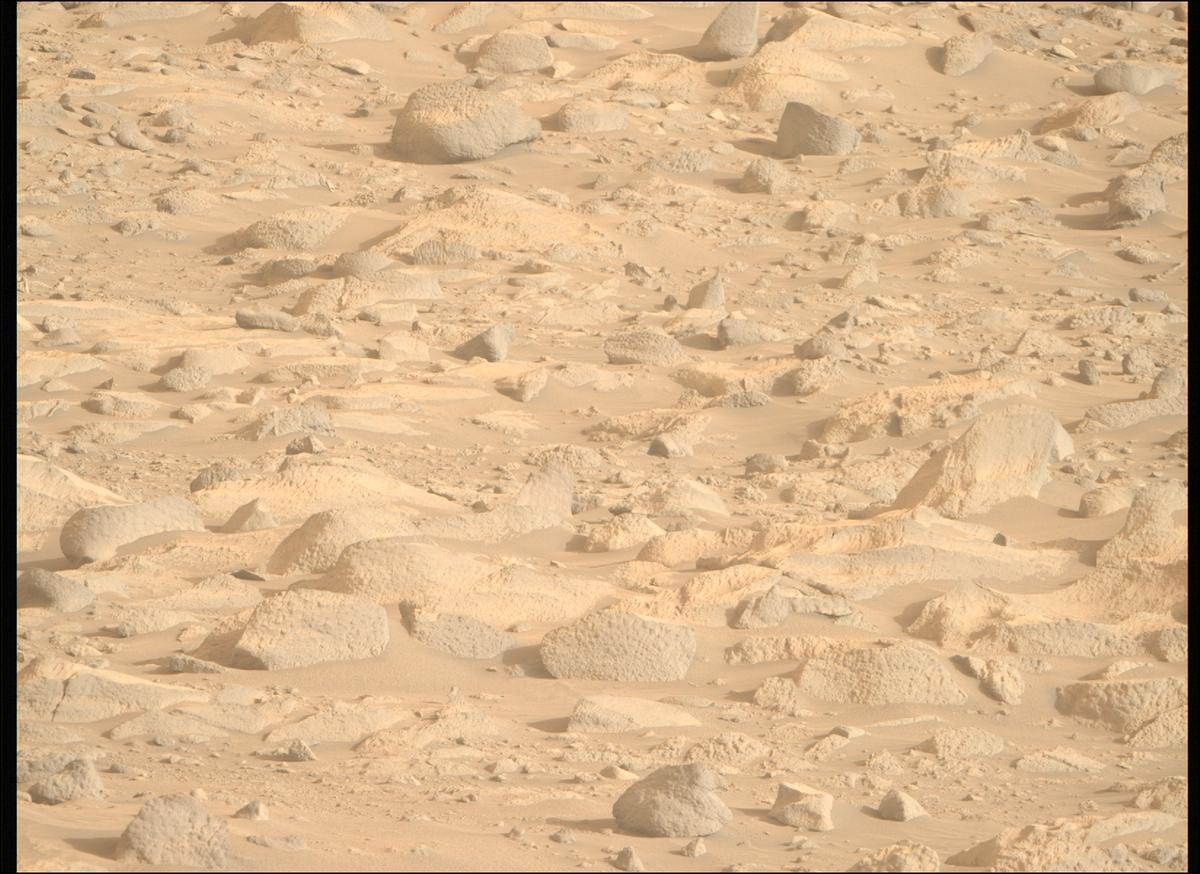 This image was taken by MCZ_RIGHT onboard NASA's Mars rover Perseverance on Sol 1152