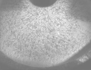 View image taken on Mars, Mars Perseverance Sol 1153: PIXL Camera 