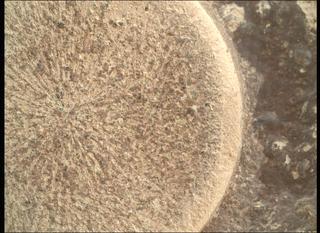 View image taken on Mars, Mars Perseverance Sol 1153: WATSON Camera 