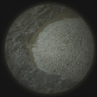 View image taken on Mars, Mars Perseverance Sol 1154: SuperCam Camera