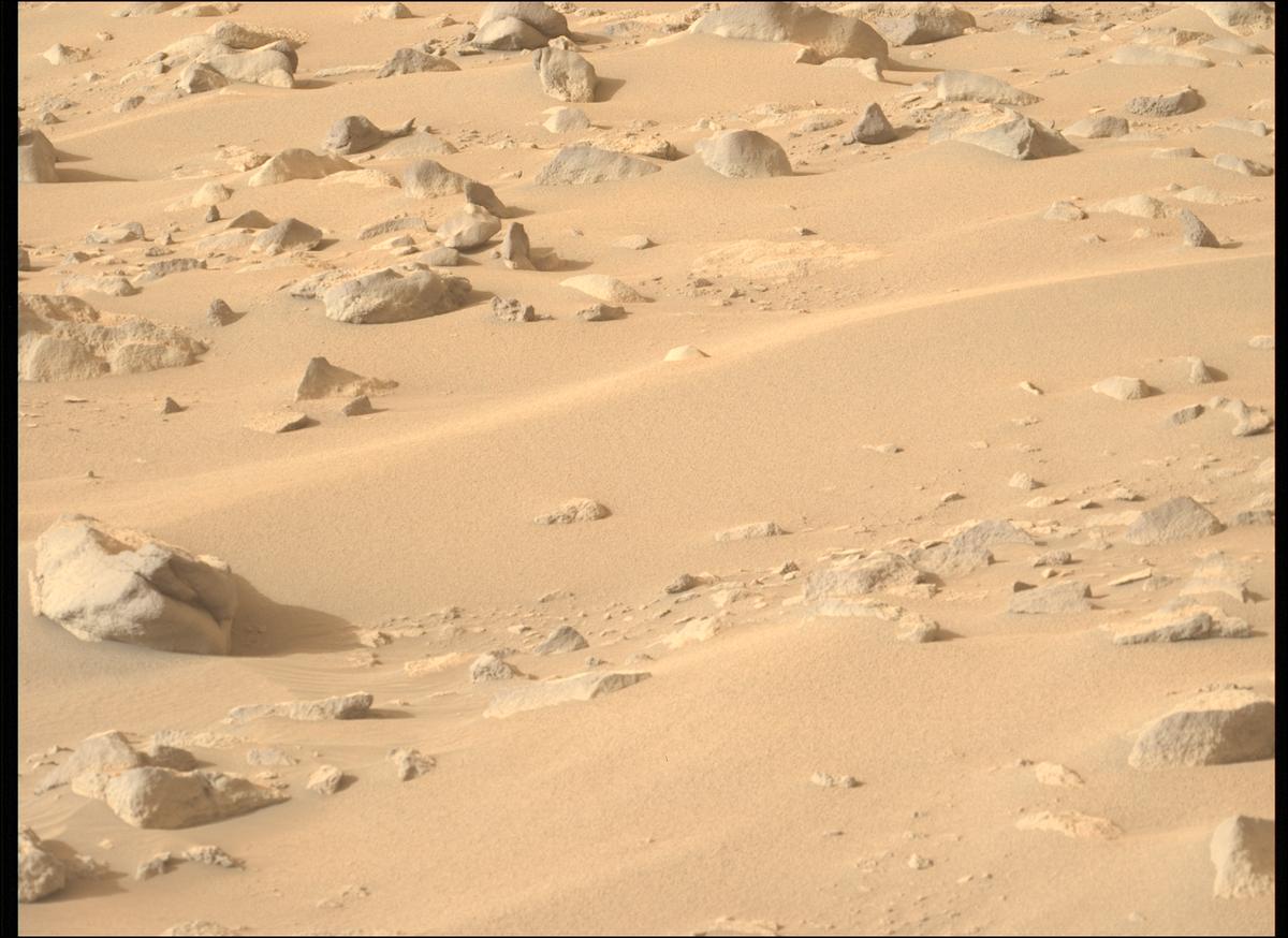 This image was taken by MCZ_LEFT onboard NASA's Mars rover Perseverance on Sol 1155