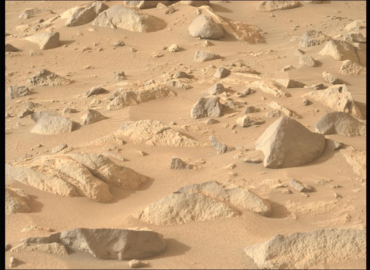 This image was taken by MCZ_LEFT onboard NASA's Mars rover Perseverance on Sol 1155