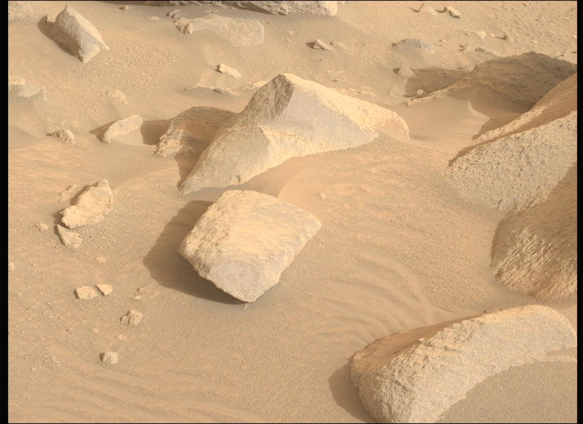 This image was taken by MCZ_LEFT onboard NASA's Mars rover Perseverance on Sol 1155