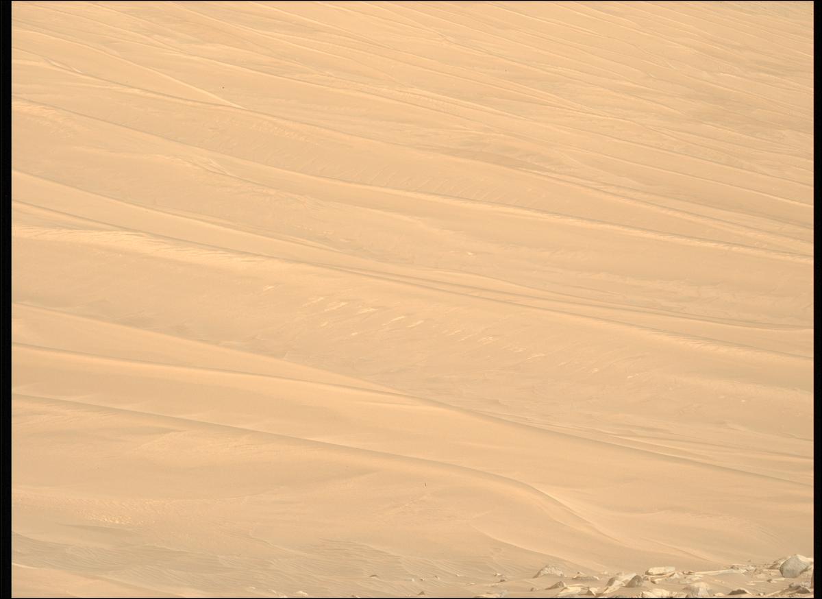 This image was taken by MCZ_LEFT onboard NASA's Mars rover Perseverance on Sol 1155