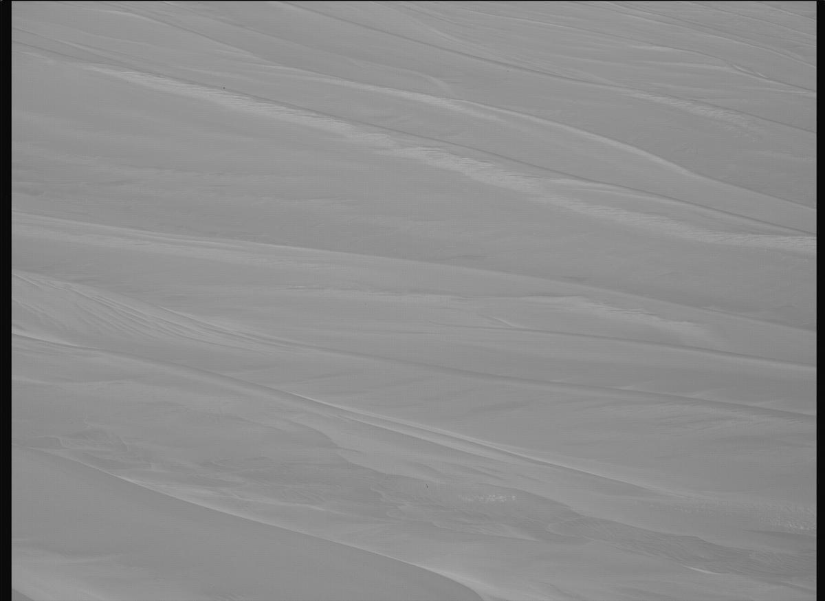 This image was taken by MCZ_LEFT onboard NASA's Mars rover Perseverance on Sol 1155