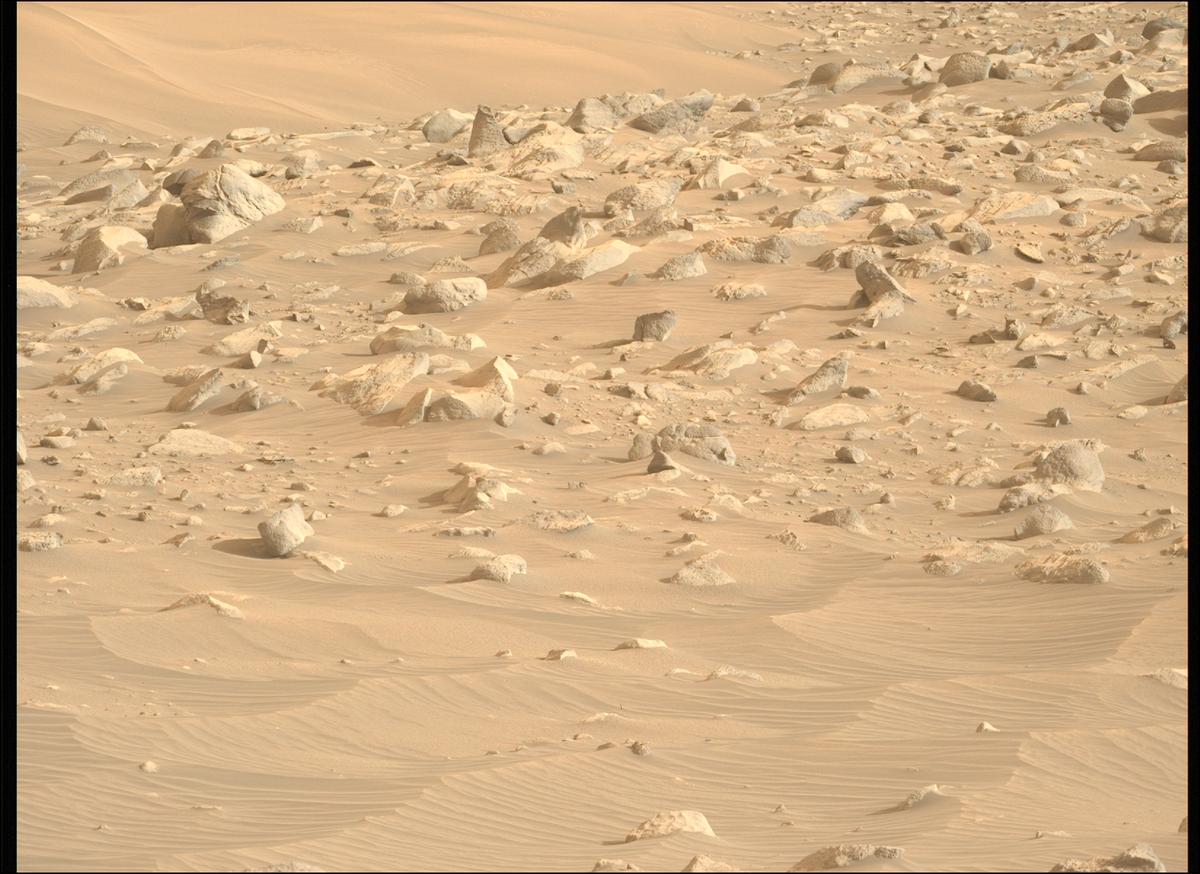 This image was taken by MCZ_LEFT onboard NASA's Mars rover Perseverance on Sol 1155