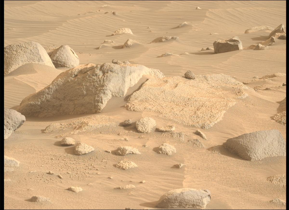 This image was taken by MCZ_LEFT onboard NASA's Mars rover Perseverance on Sol 1155