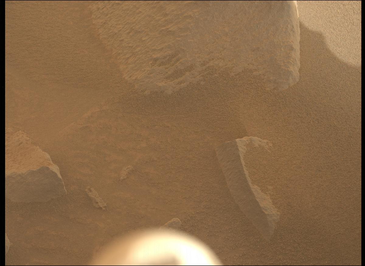 This image was taken by MCZ_LEFT onboard NASA's Mars rover Perseverance on Sol 1155