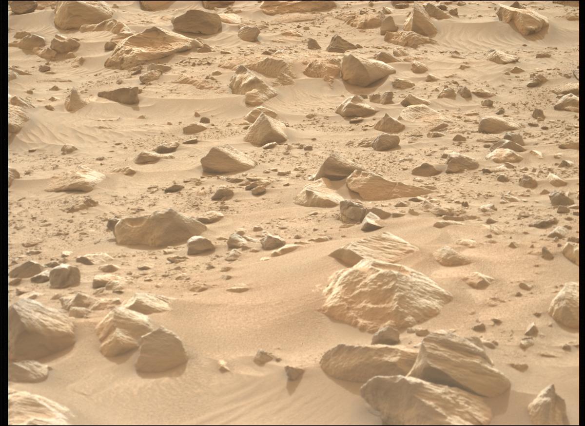 This image was taken by MCZ_LEFT onboard NASA's Mars rover Perseverance on Sol 1155