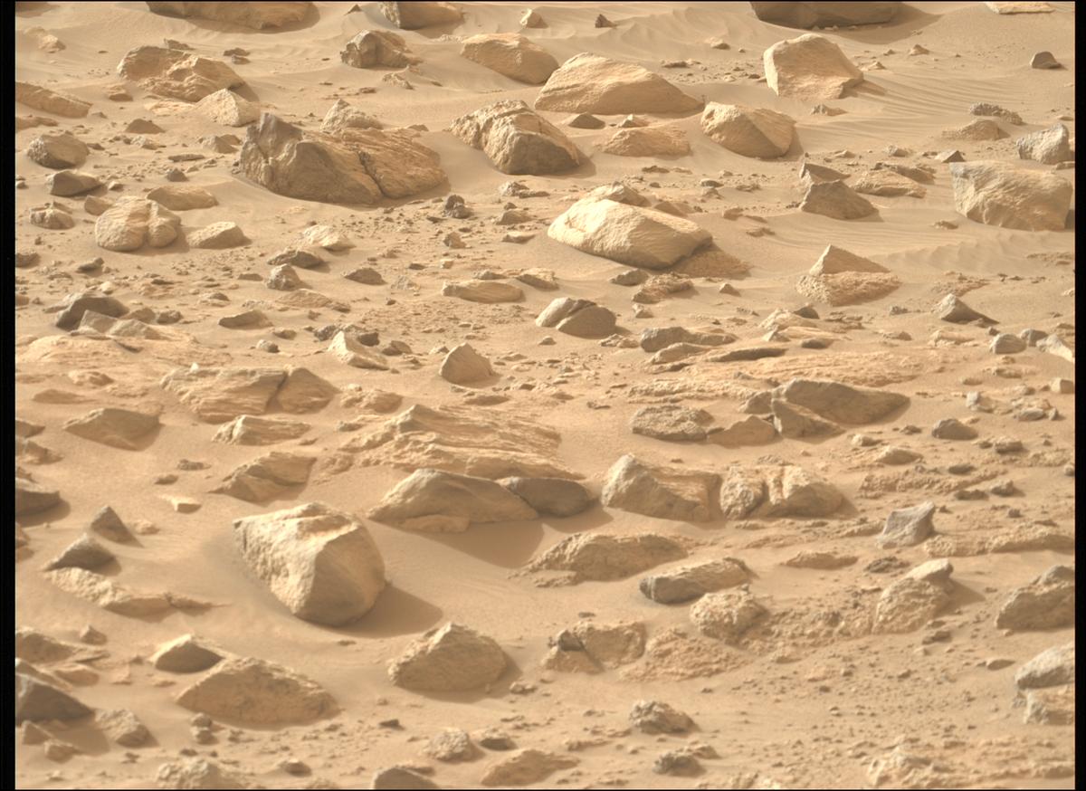 This image was taken by MCZ_LEFT onboard NASA's Mars rover Perseverance on Sol 1155