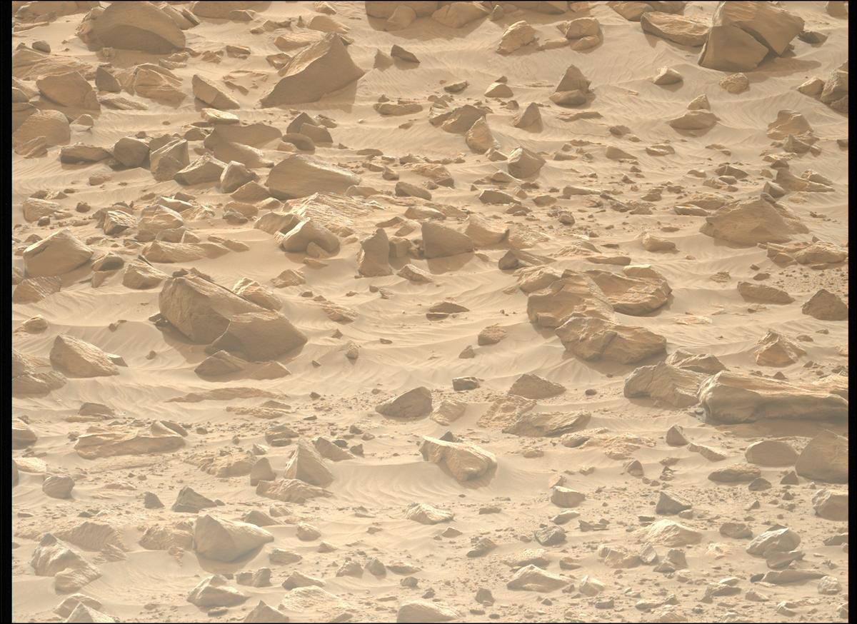 This image was taken by MCZ_LEFT onboard NASA's Mars rover Perseverance on Sol 1155