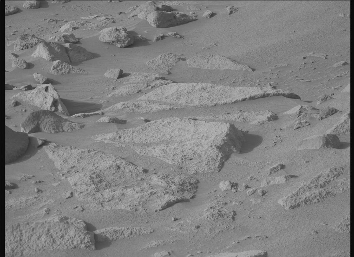 This image was taken by MCZ_RIGHT onboard NASA's Mars rover Perseverance on Sol 1155