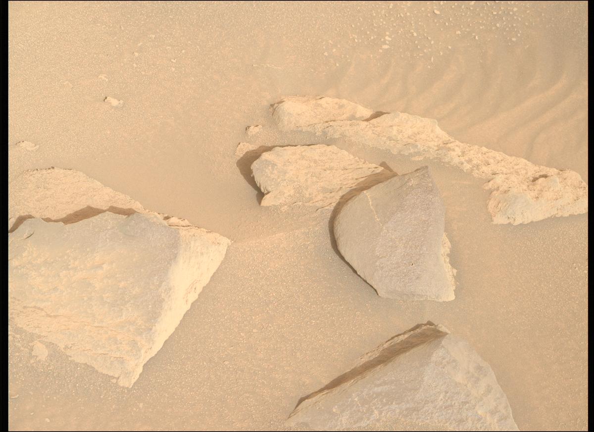 This image was taken by MCZ_RIGHT onboard NASA's Mars rover Perseverance on Sol 1155