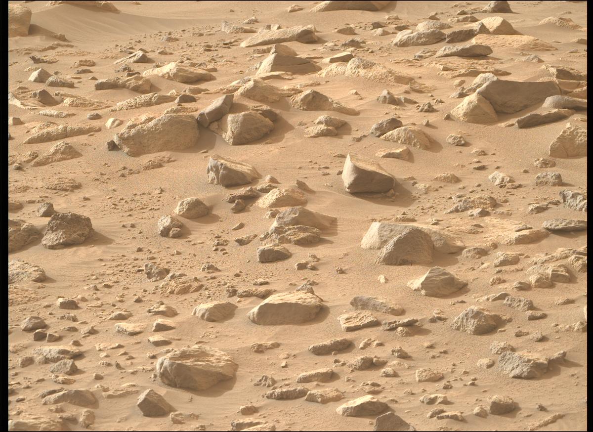 This image was taken by MCZ_RIGHT onboard NASA's Mars rover Perseverance on Sol 1155