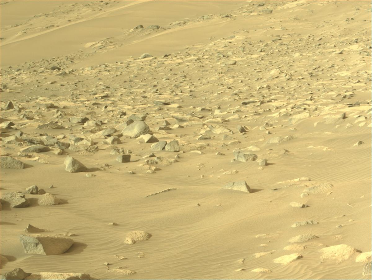 This image was taken by NAVCAM_LEFT onboard NASA's Mars rover Perseverance on Sol 1156