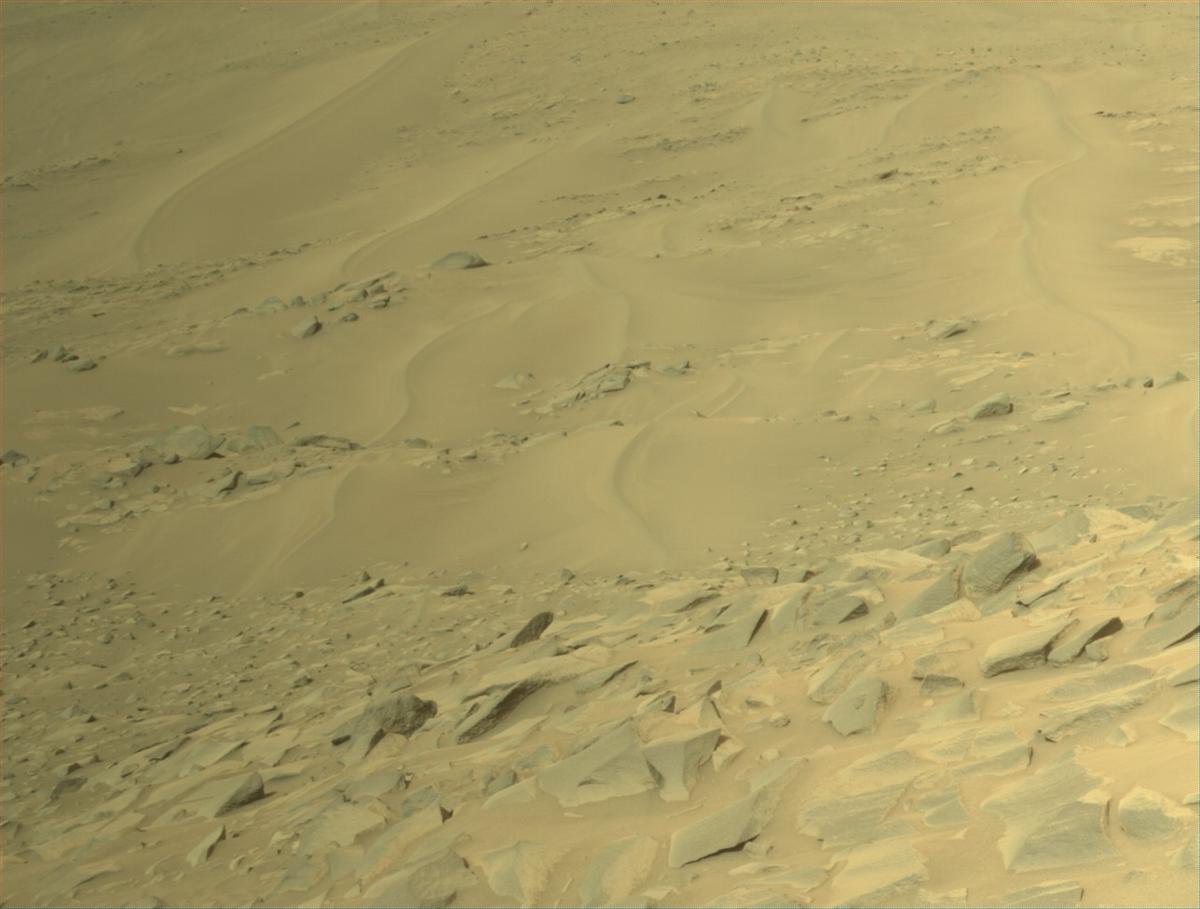 This image was taken by NAVCAM_LEFT onboard NASA's Mars rover Perseverance on Sol 1156