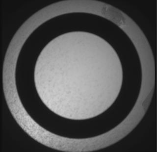 View image taken on Mars, Mars Perseverance Sol 1161: SkyCam Camera 