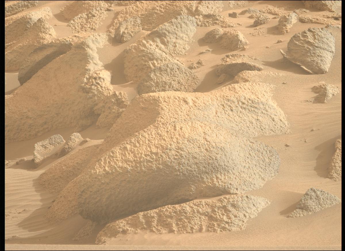 This image was taken by MCZ_LEFT onboard NASA's Mars rover Perseverance on Sol 1161