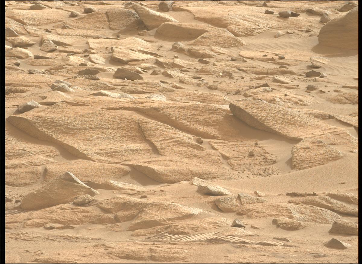 This image was taken by MCZ_LEFT onboard NASA's Mars rover Perseverance on Sol 1161