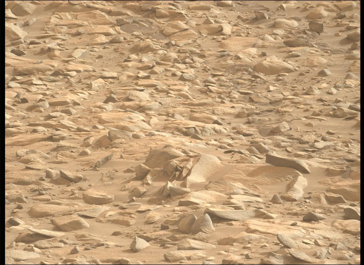 This image was taken by MCZ_LEFT onboard NASA's Mars rover Perseverance on Sol 1161