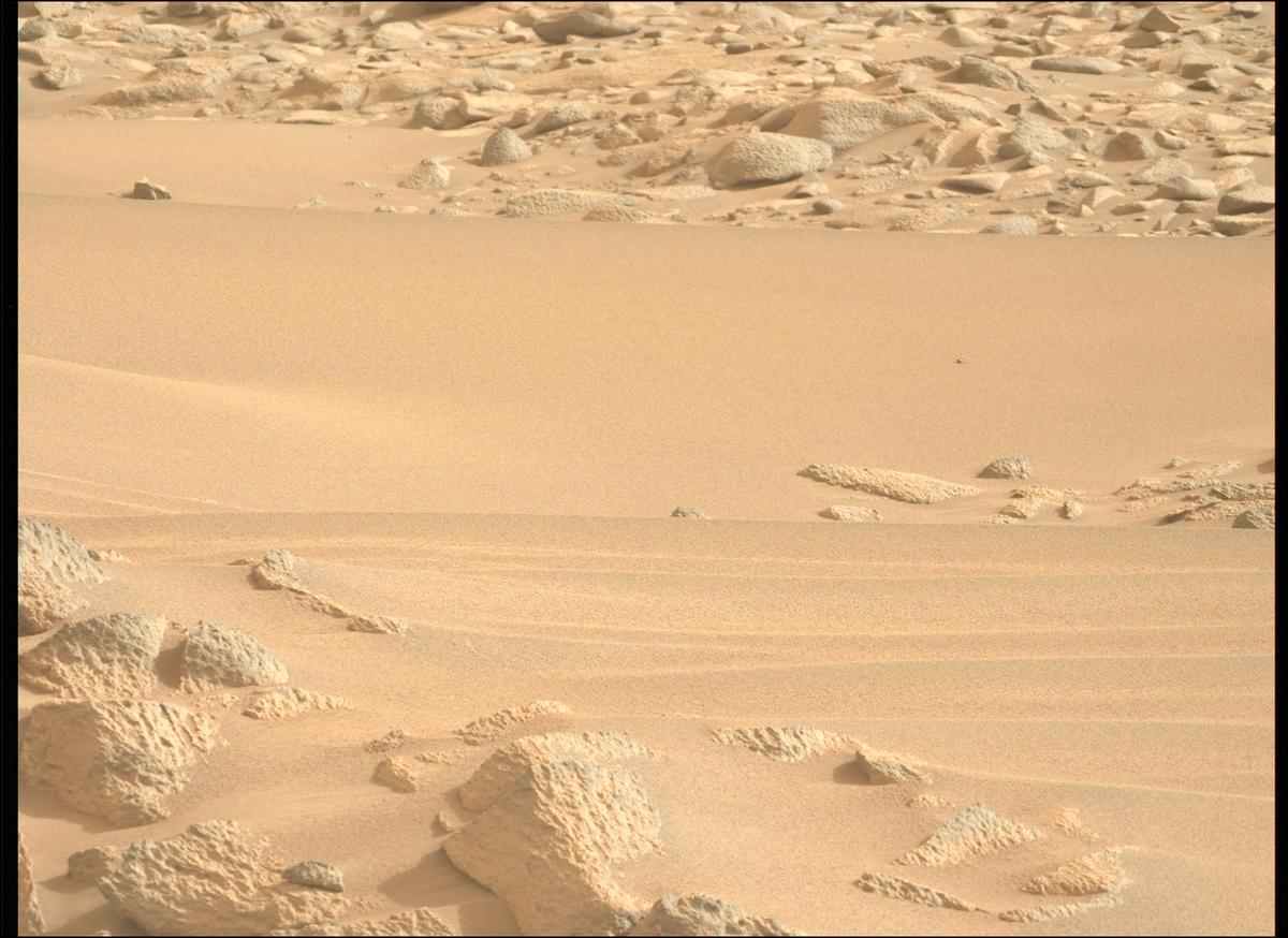 This image was taken by MCZ_LEFT onboard NASA's Mars rover Perseverance on Sol 1161