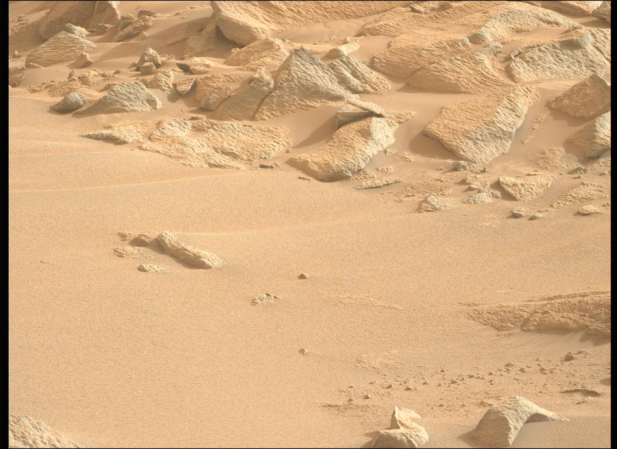 This image was taken by MCZ_LEFT onboard NASA's Mars rover Perseverance on Sol 1161