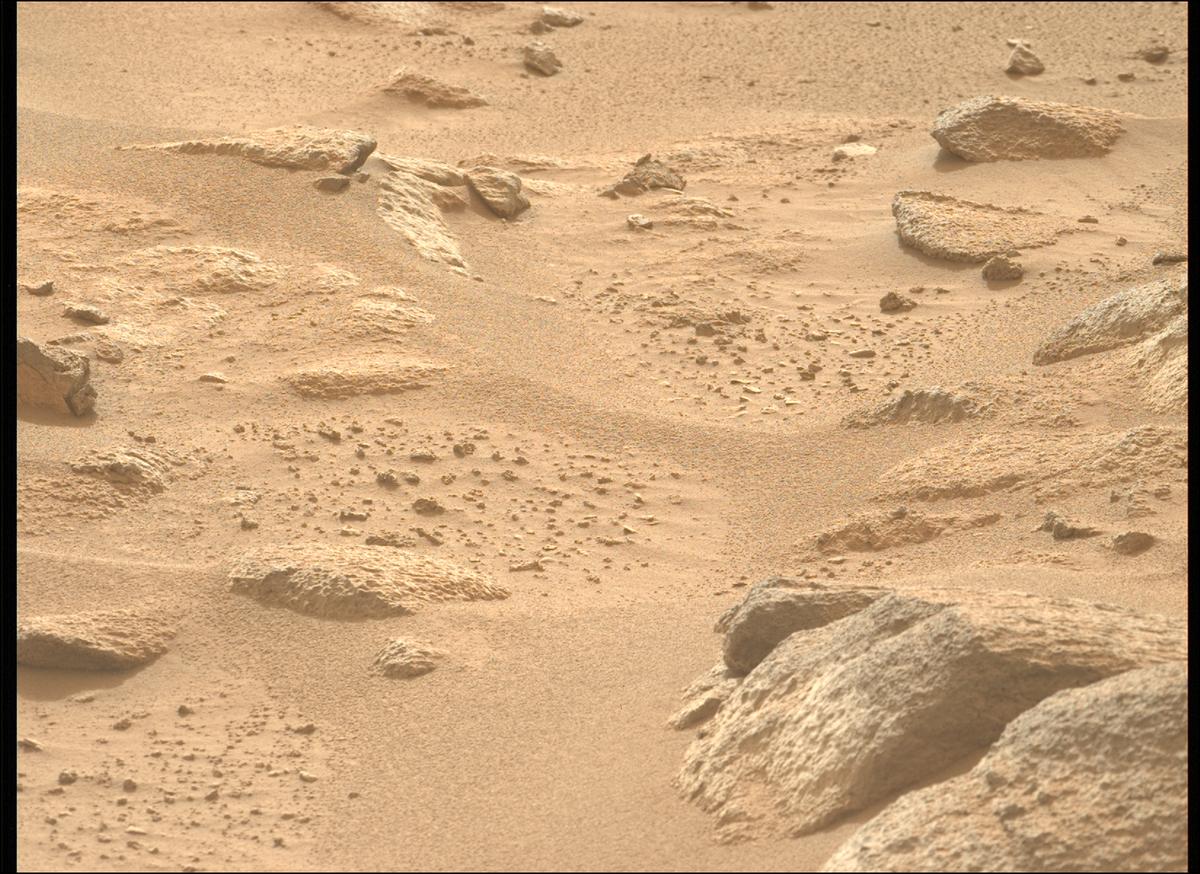This image was taken by MCZ_LEFT onboard NASA's Mars rover Perseverance on Sol 1161