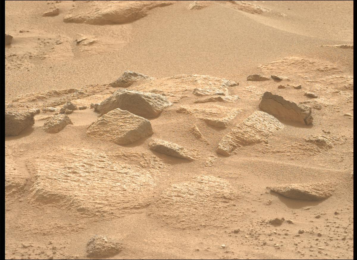 This image was taken by MCZ_LEFT onboard NASA's Mars rover Perseverance on Sol 1161