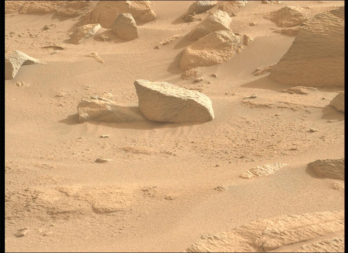 This image was taken by MCZ_LEFT onboard NASA's Mars rover Perseverance on Sol 1161