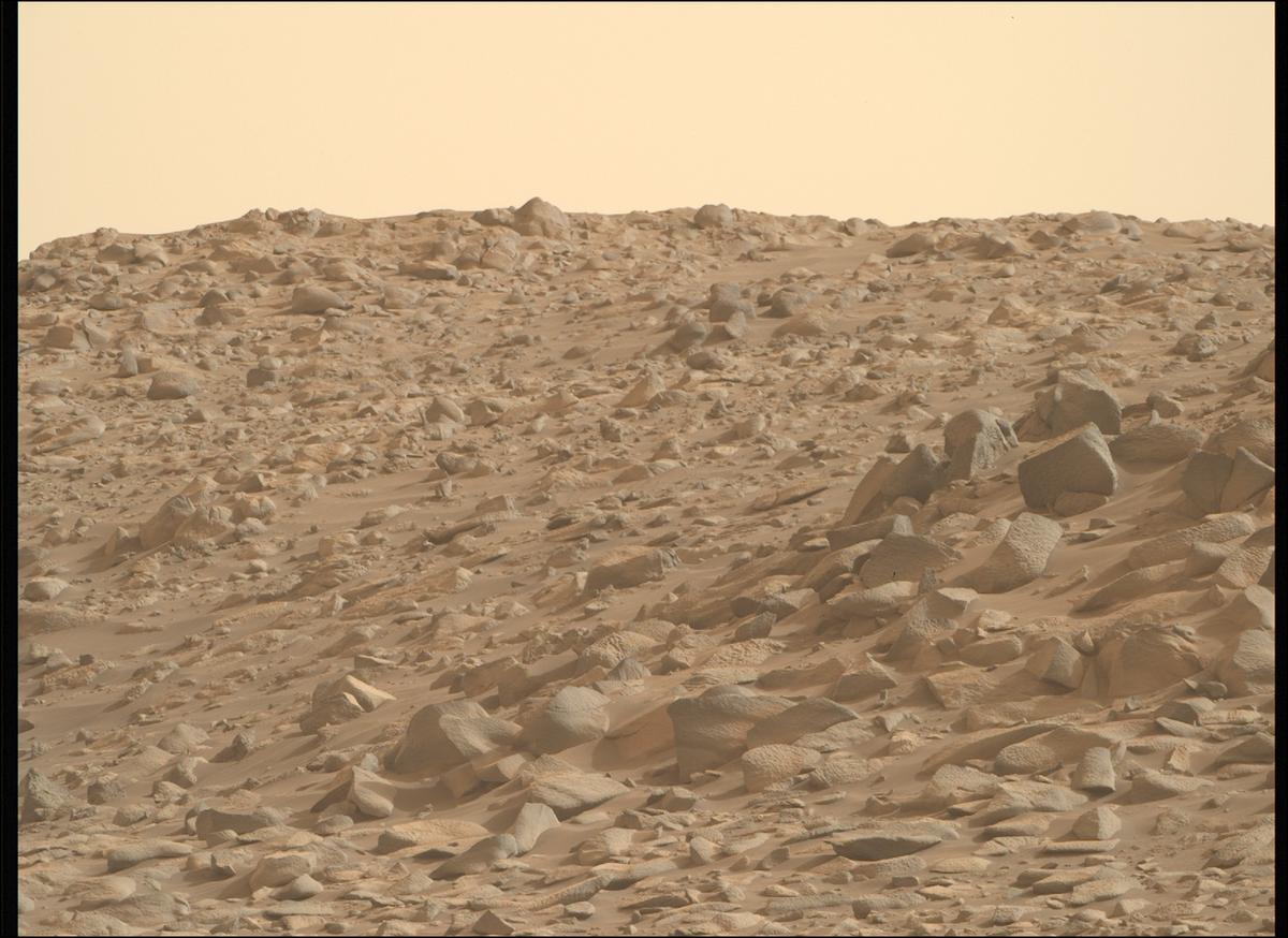 This image was taken by MCZ_RIGHT onboard NASA's Mars rover Perseverance on Sol 1161