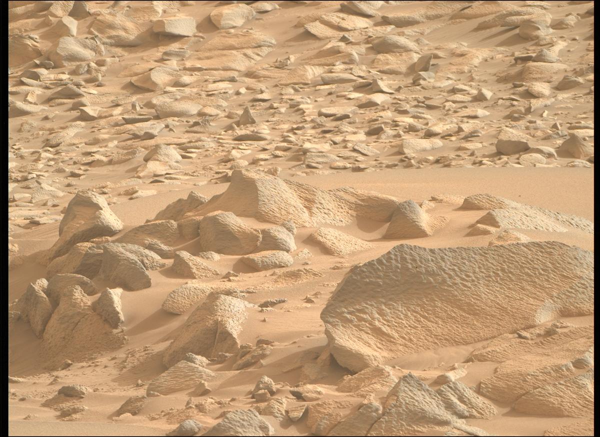 This image was taken by MCZ_RIGHT onboard NASA's Mars rover Perseverance on Sol 1161