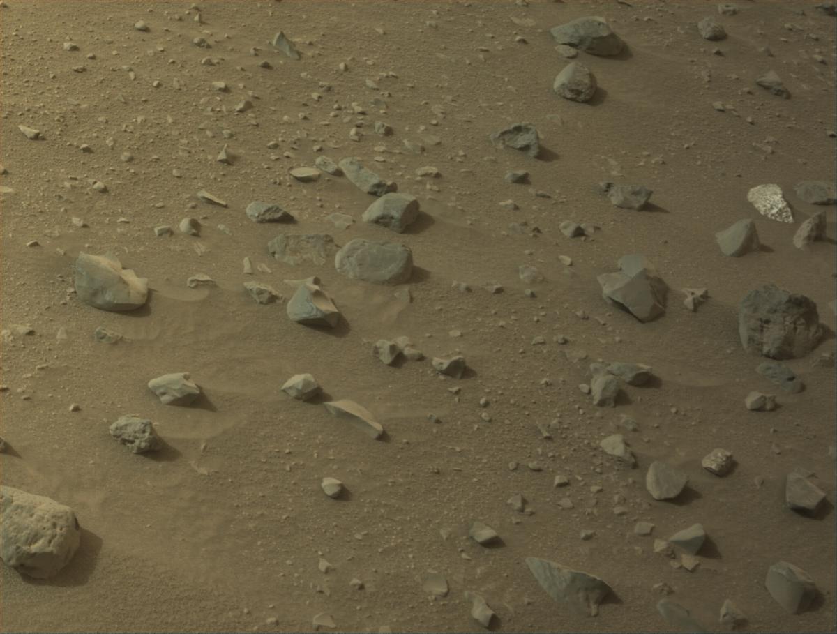 This image was taken by NAVCAM_RIGHT onboard NASA's Mars rover Perseverance on Sol 1162