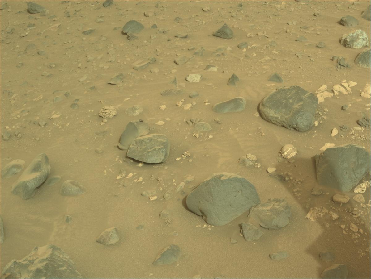 This image was taken by NAVCAM_RIGHT onboard NASA's Mars rover Perseverance on Sol 1162
