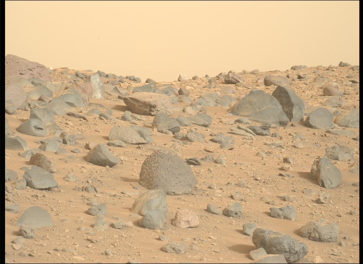 This image was taken by MCZ_LEFT onboard NASA's Mars rover Perseverance on Sol 1162