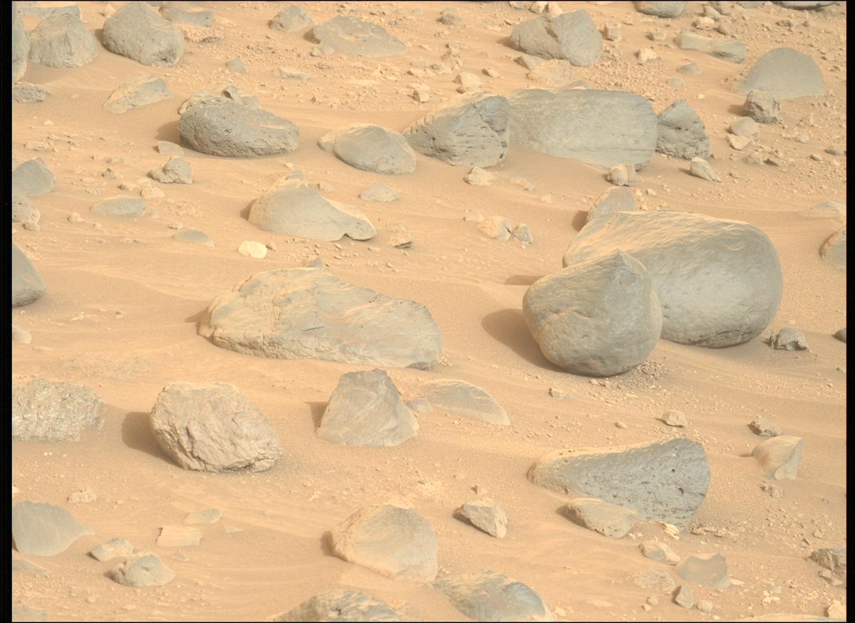 This image was taken by MCZ_LEFT onboard NASA's Mars rover Perseverance on Sol 1162