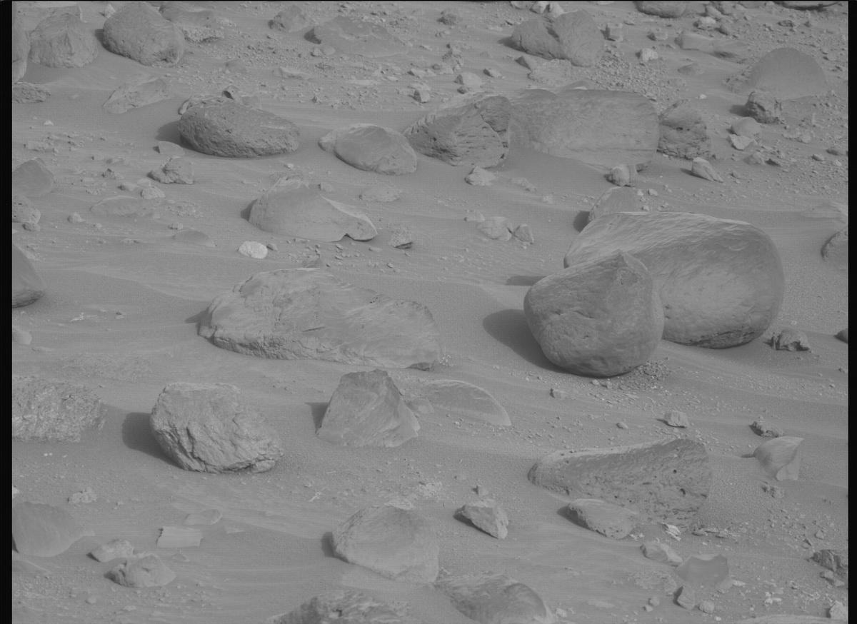 This image was taken by MCZ_LEFT onboard NASA's Mars rover Perseverance on Sol 1162