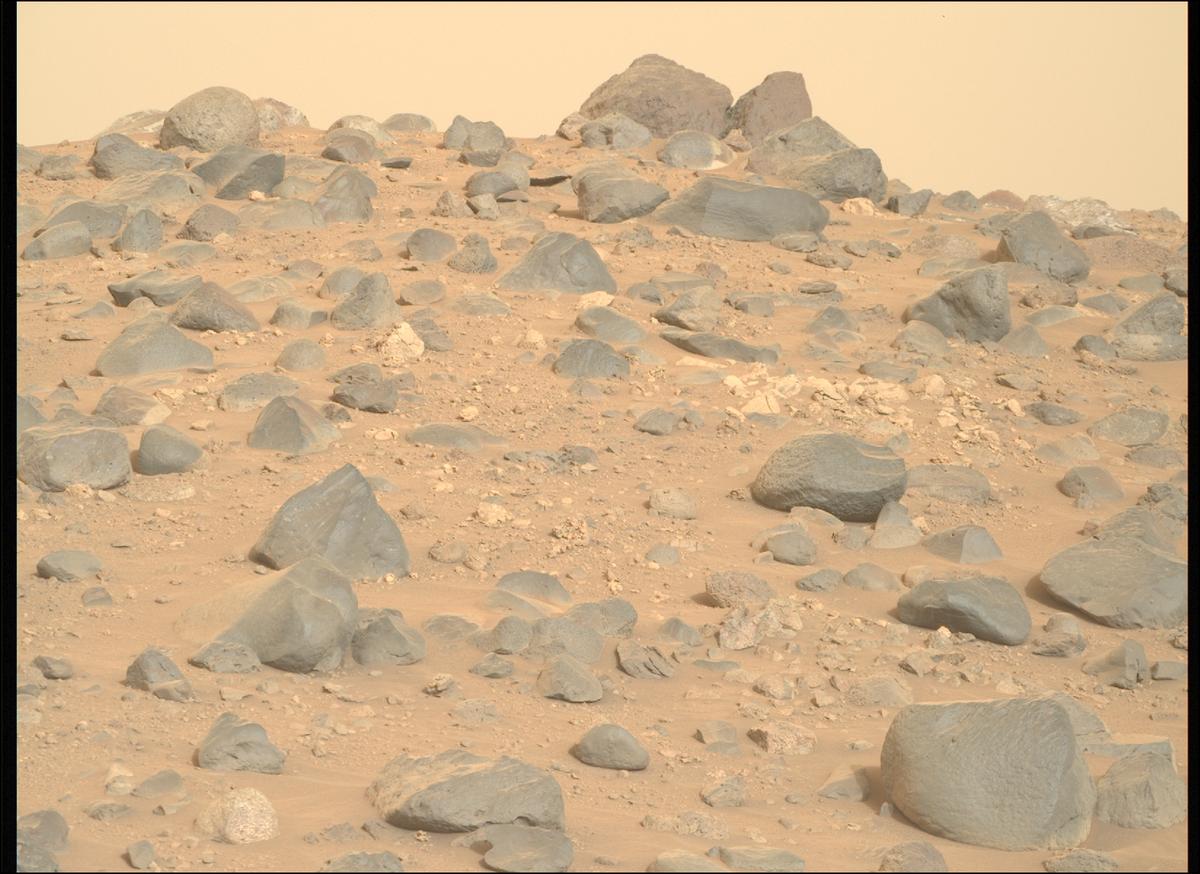 This image was taken by MCZ_RIGHT onboard NASA's Mars rover Perseverance on Sol 1162