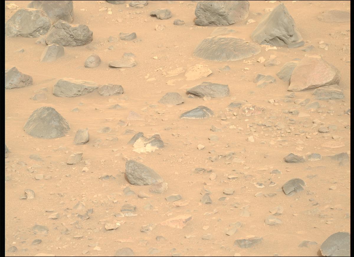 This image was taken by MCZ_RIGHT onboard NASA's Mars rover Perseverance on Sol 1162
