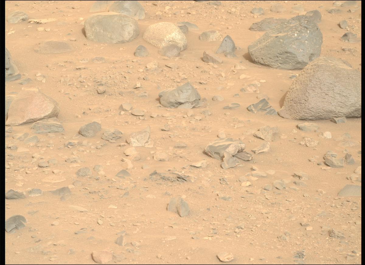 This image was taken by MCZ_RIGHT onboard NASA's Mars rover Perseverance on Sol 1162