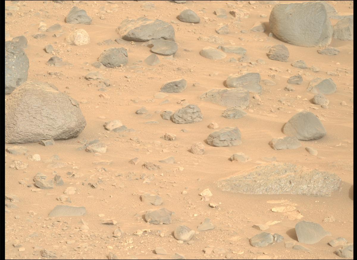 This image was taken by MCZ_RIGHT onboard NASA's Mars rover Perseverance on Sol 1162