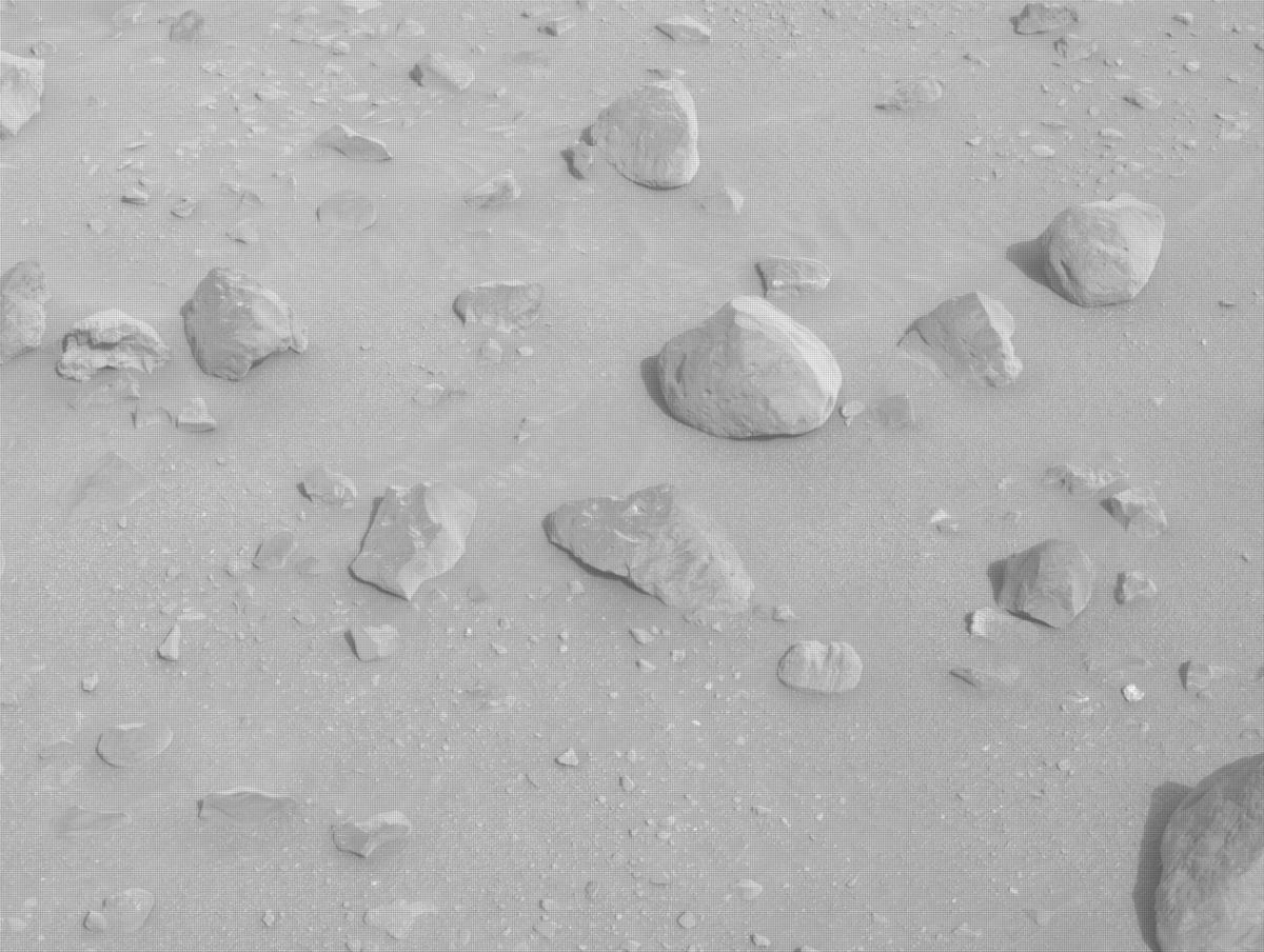 This image was taken by NAVCAM_LEFT onboard NASA's Mars rover Perseverance on Sol 1163