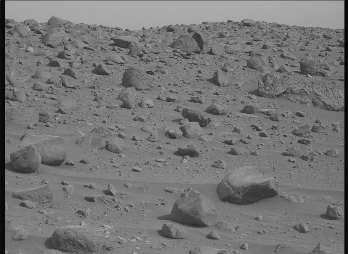 This image was taken by MCZ_LEFT onboard NASA's Mars rover Perseverance on Sol 1164