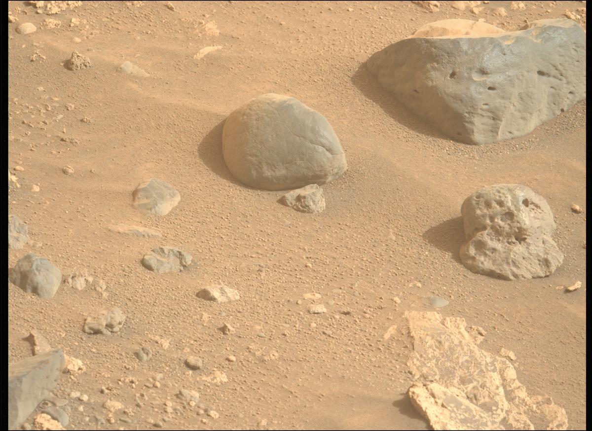 This image was taken by MCZ_LEFT onboard NASA's Mars rover Perseverance on Sol 1164
