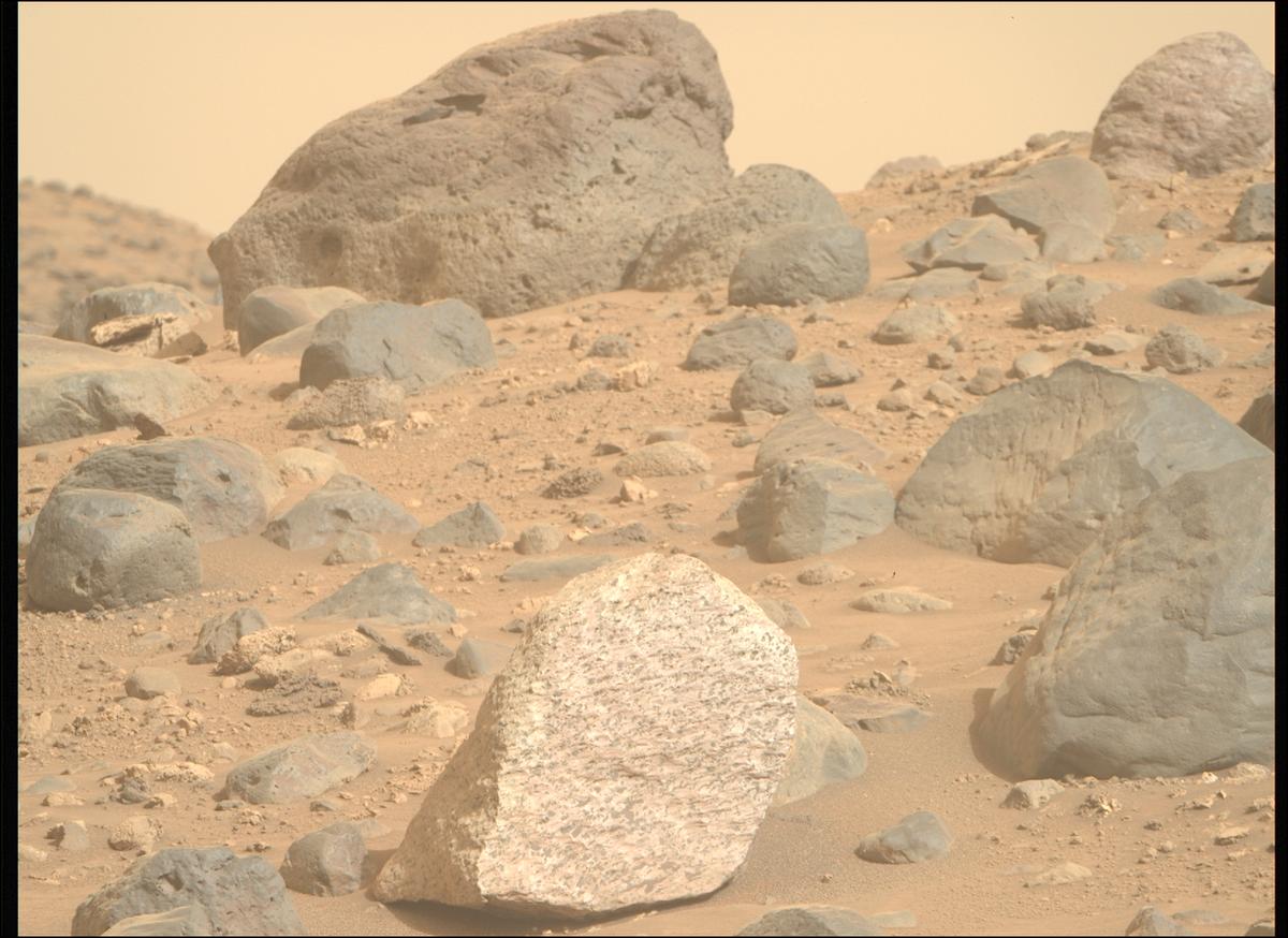 This image was taken by MCZ_RIGHT onboard NASA's Mars rover Perseverance on Sol 1164