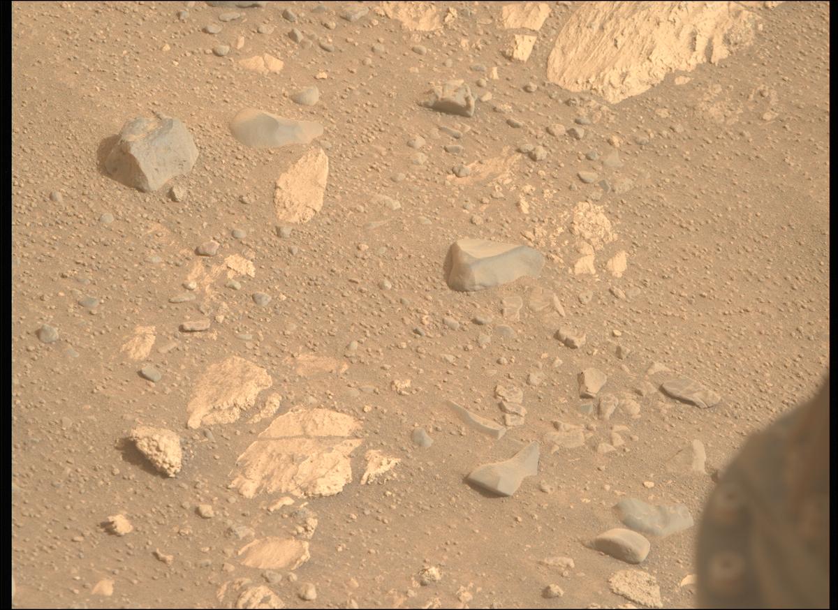 This image was taken by MCZ_RIGHT onboard NASA's Mars rover Perseverance on Sol 1164