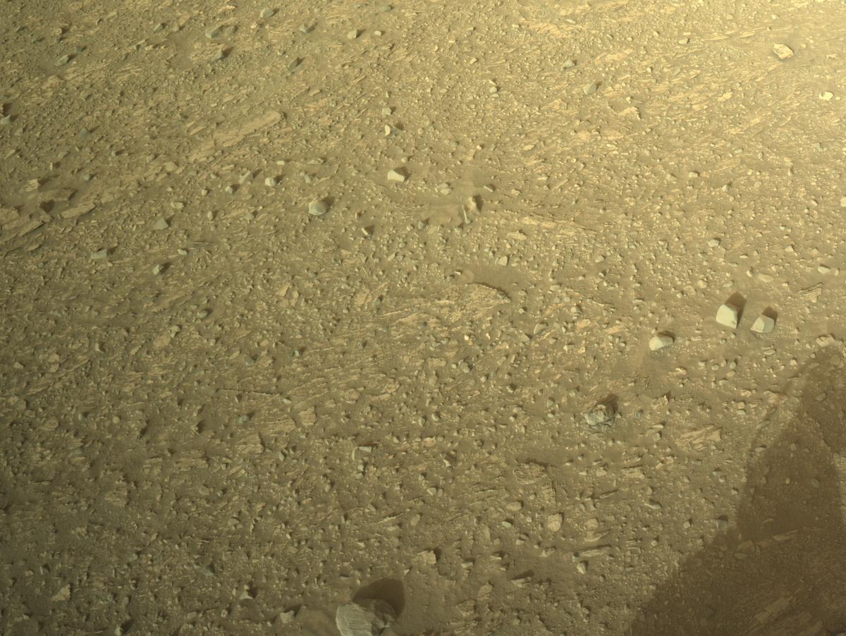 This image was taken by NAVCAM_LEFT onboard NASA's Mars rover Perseverance on Sol 1168